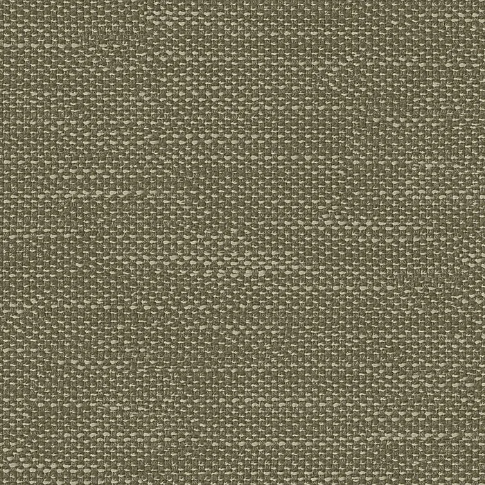 Ткань Faboie Boundless III FC-BD3706M