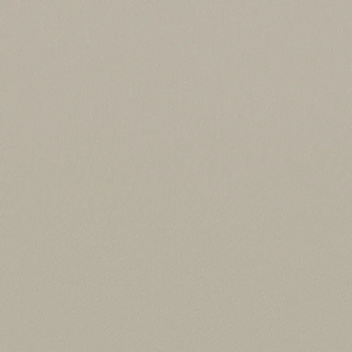 Ткань Faboie Plain VIII FA-PNY8143