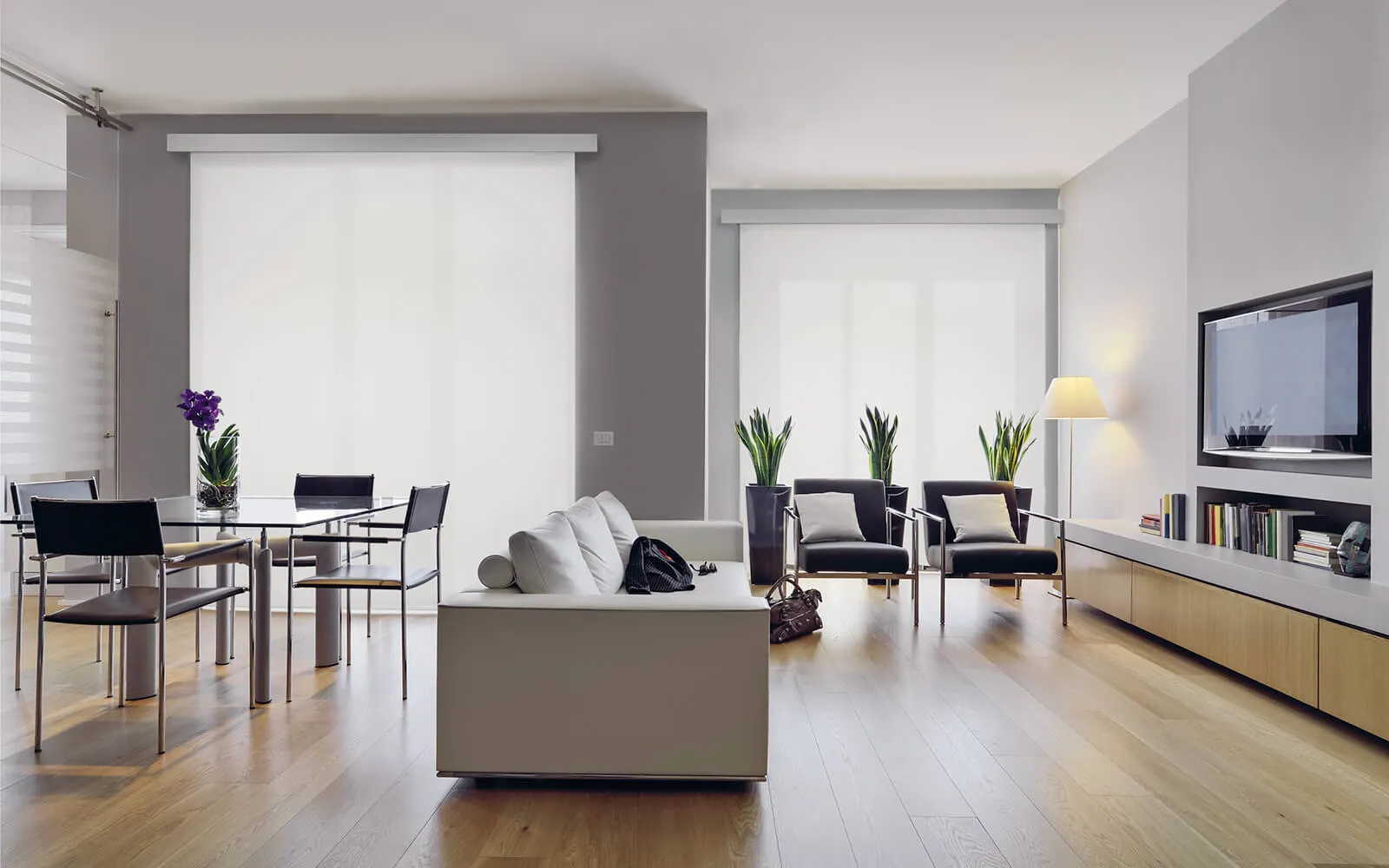 Рулонные шторы Aries-1