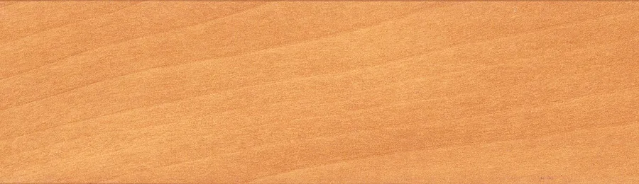 Жалюзи горизонтальные WLS9LCN25