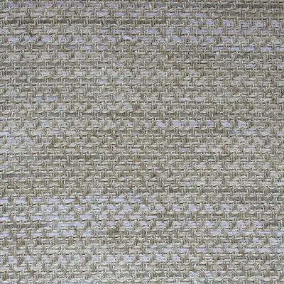 Ткань Chase Erwin Essa mika-parchment