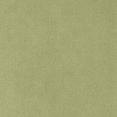 Ткань Chase Erwin Ultrasuede fern-w200h2