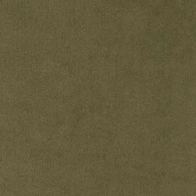 Ткань Chase Erwin Ultrasuede moss-w200h2