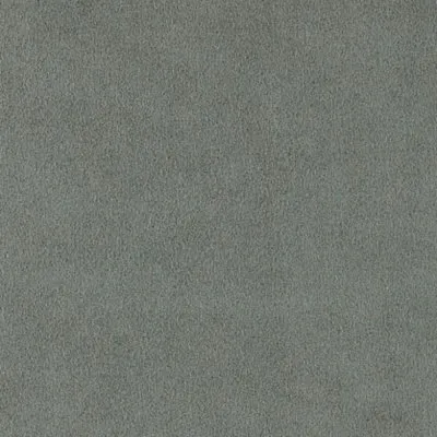 Ткань Chase Erwin Ultrasuede sage-w200h2