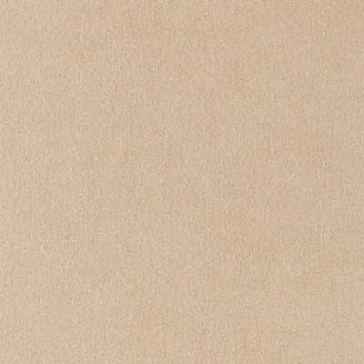 Ткань Chase Erwin Ultrasuede sand-w200h2
