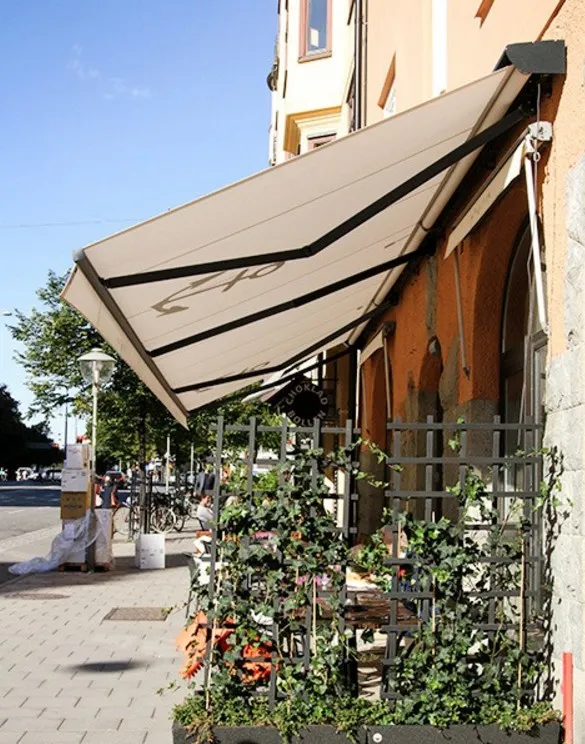 Маркизы 2017-08-11_134339