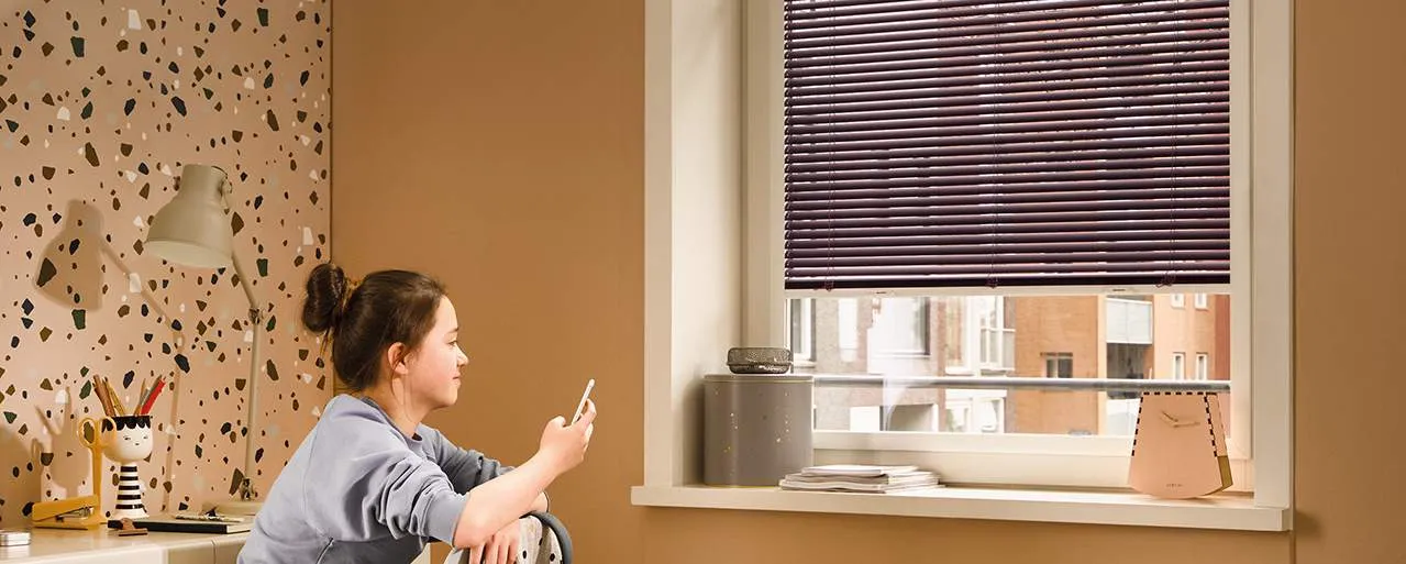 Жалюзи горизонтальные framefix-VB_166