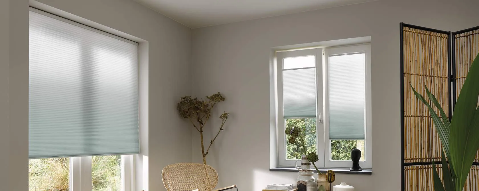 Плиссированные шторы DS_1540_1