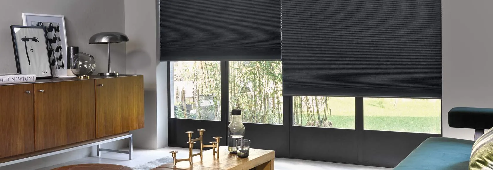 Плиссированные шторы DS_1622.2