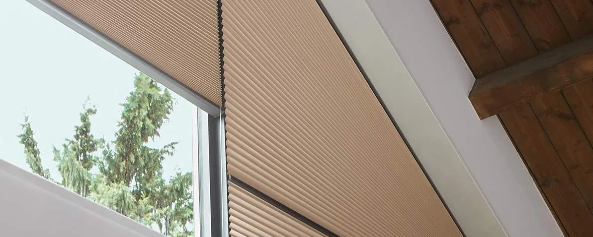 Плиссированные шторы DS_1689_b