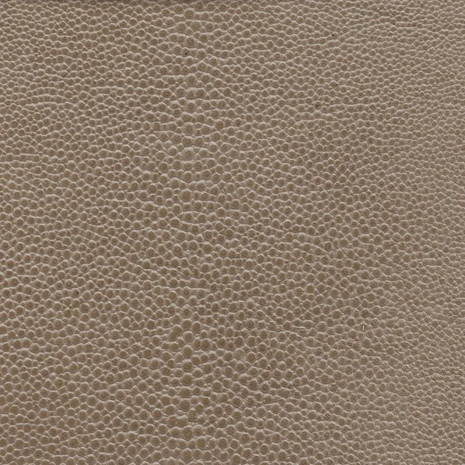 6000-41_Stingray_BeachComber_WM_2