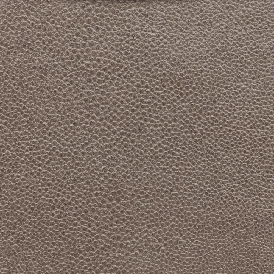 6000-42_Stingray_SeaOtter_WM_2