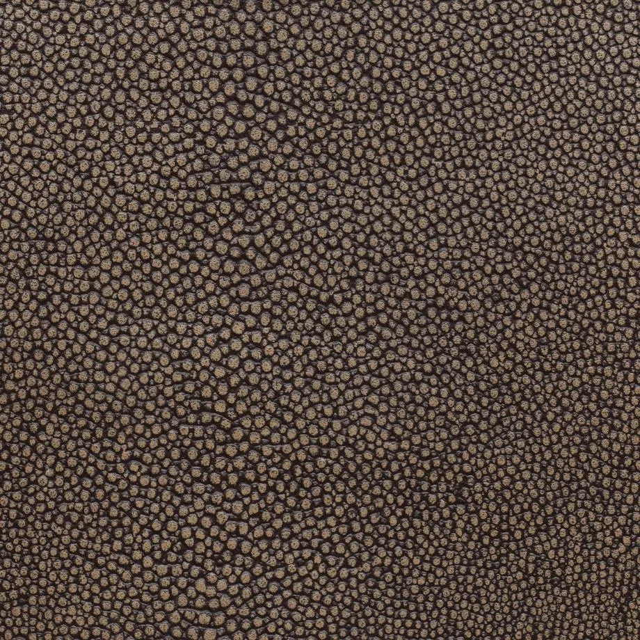 6000-45_Stingray_Volcano_WM