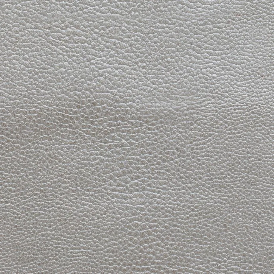 6000-47_Stingray_BlackPearl_WM_2