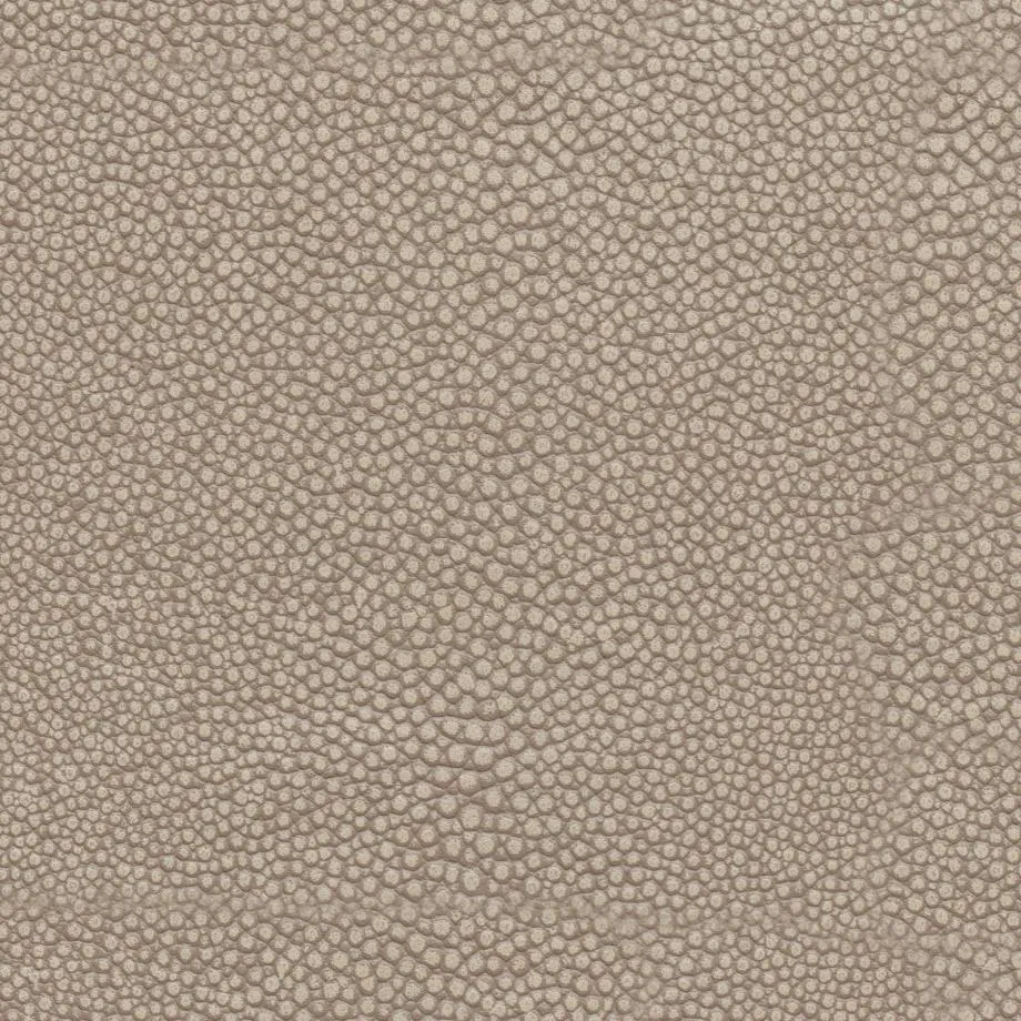 6000-50_Stingray_SandDollar_WM_2