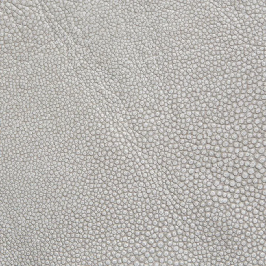 6000-62_Stingray_Jellyfish_WM_2