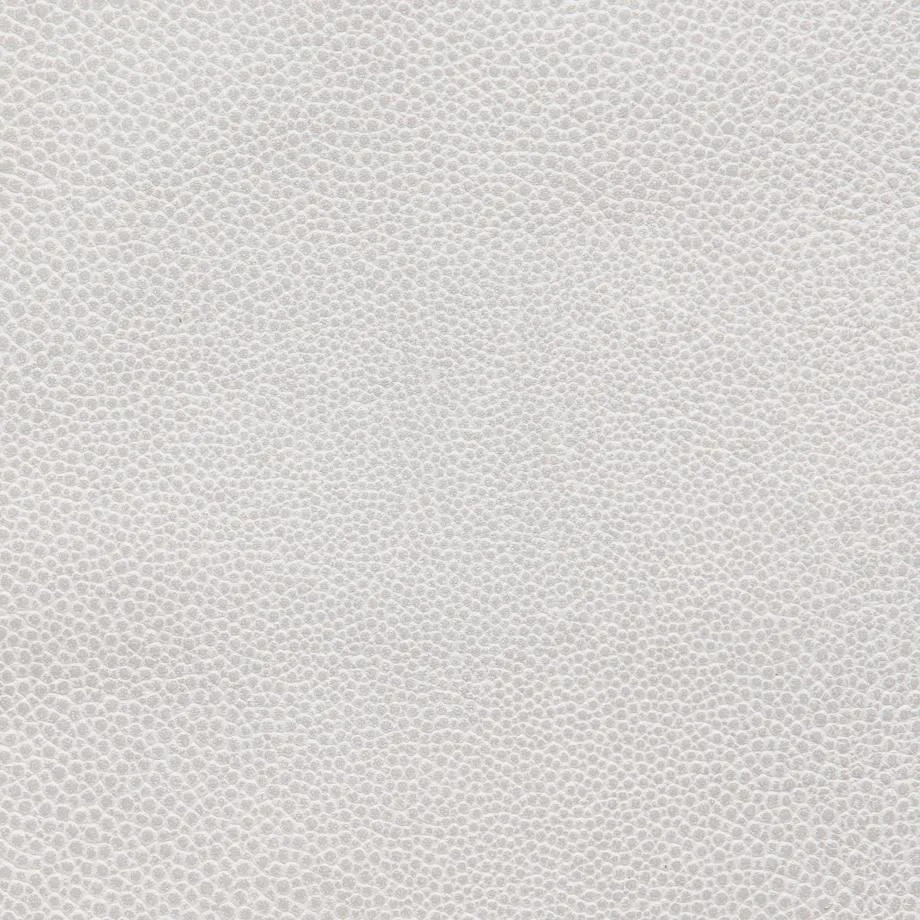 6000-77_Stingray_MoonShell_WM_2