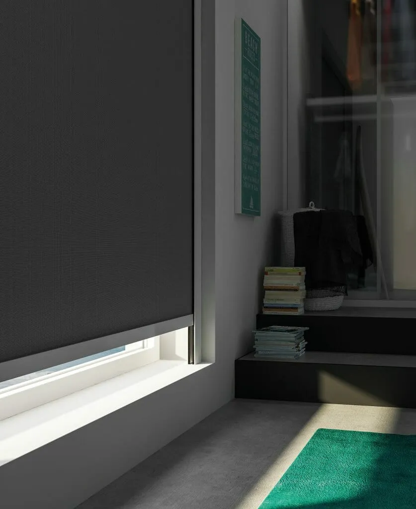 Рулонные шторы dark_10-2