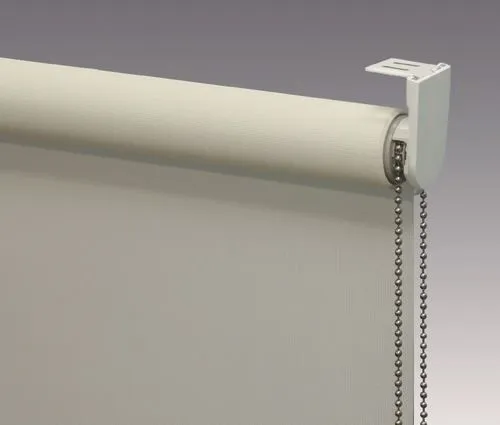 Рулонные шторы Рулонная штора Blackout