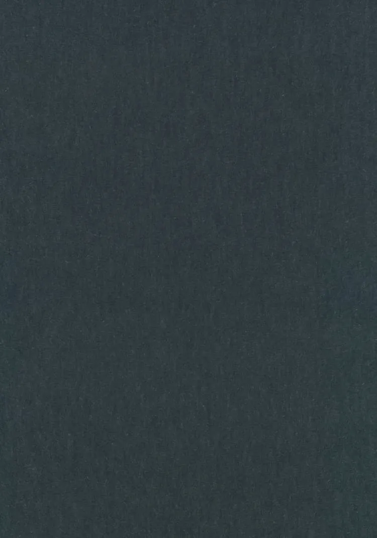 Ткань Kvadrat Byram by Raf Simons 8076_C0171