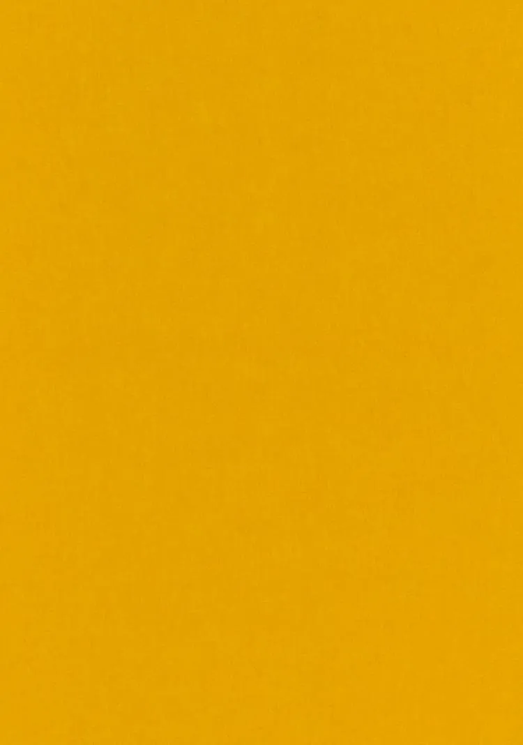 Ткань Kvadrat Byram by Raf Simons 8076_C0461