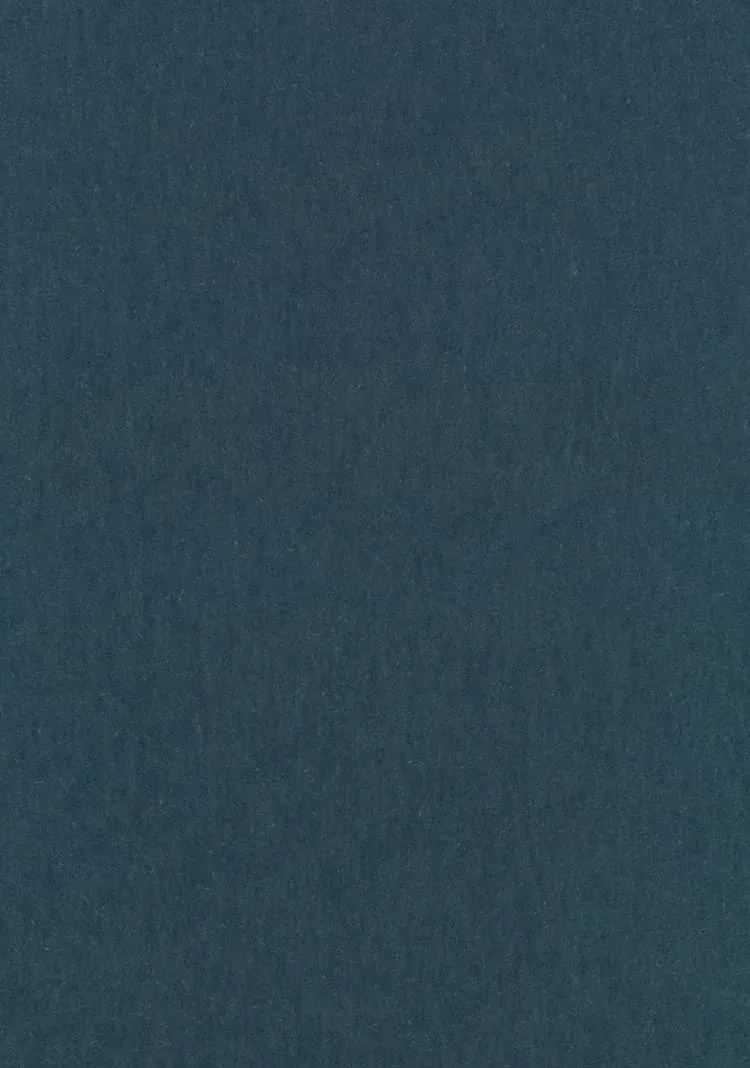 Ткань Kvadrat Byram by Raf Simons 8076_C0761