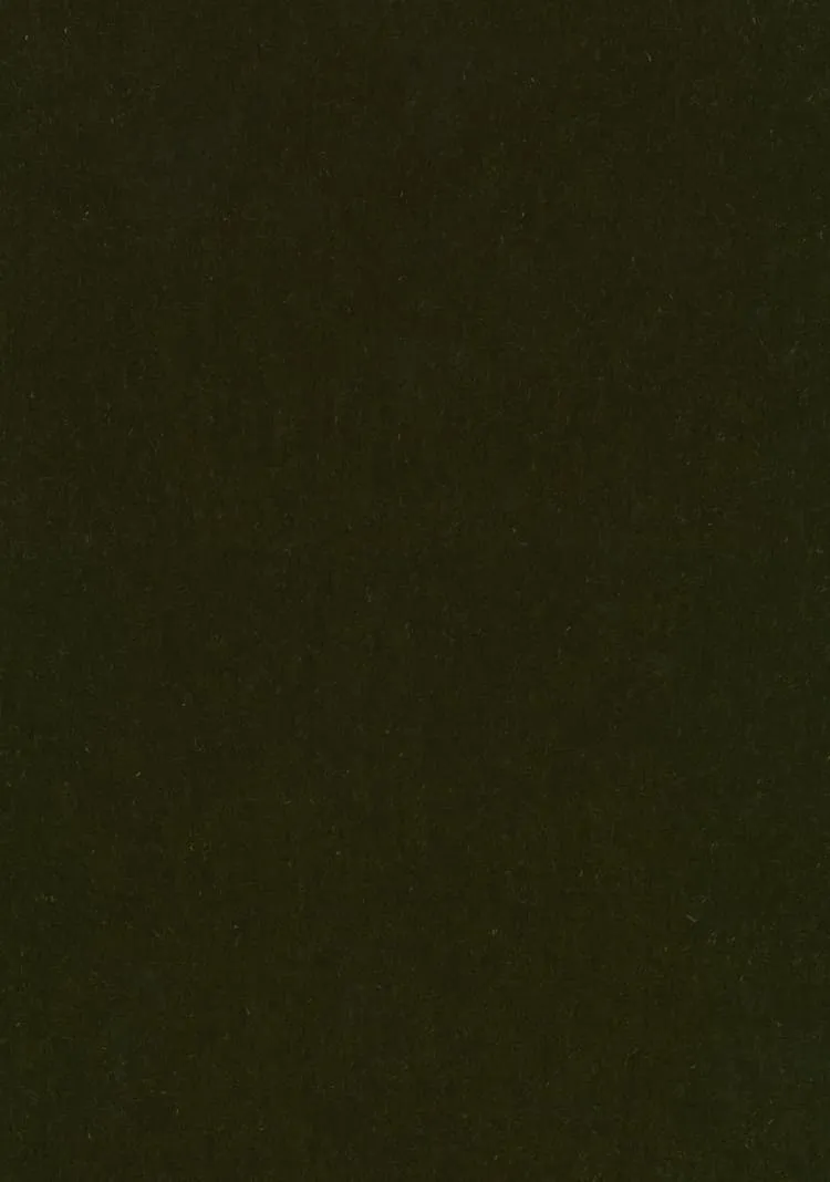 Ткань Kvadrat Byram by Raf Simons 8076_C0981