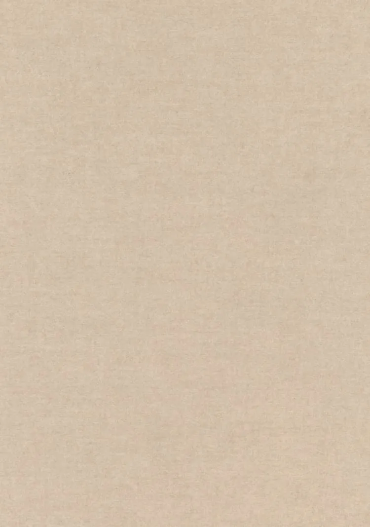 Ткань Kvadrat Divina MD by Finn Skodt 1219_C0203