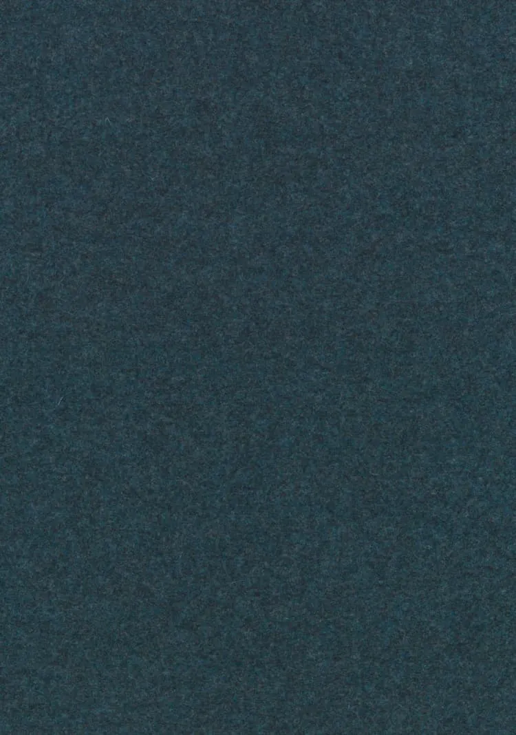 Ткань Kvadrat Divina MD by Finn Skodt 1219_C0873