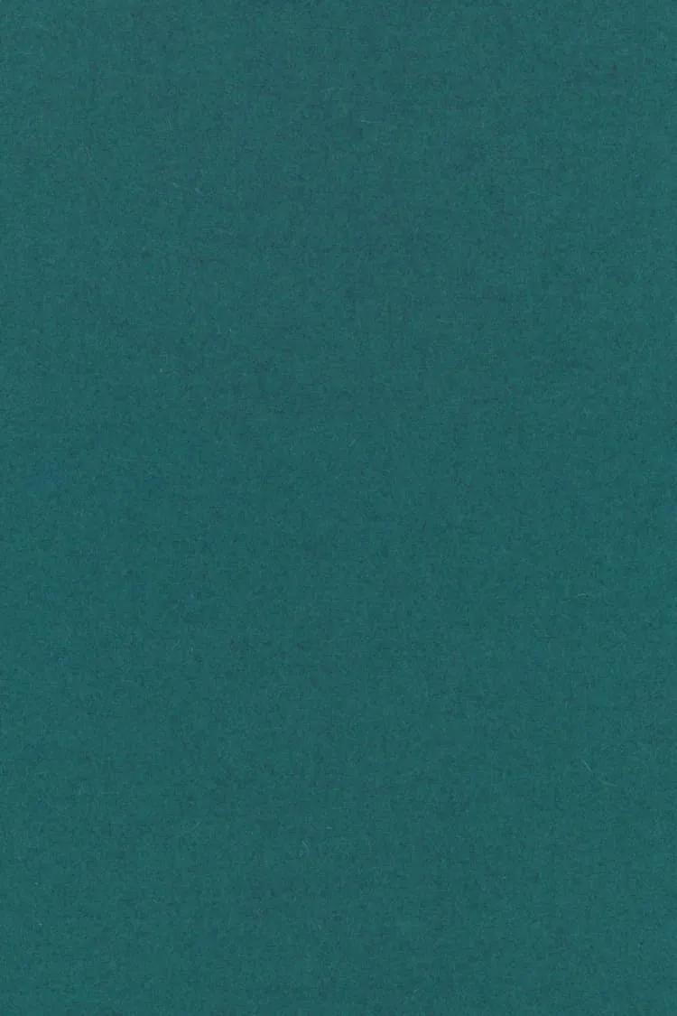 Ткань Kvadrat Divina Melange 3 by Finn Skodt 1213_C0821