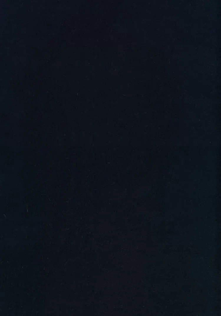 Ткань Kvadrat Harald 3 by Fanny Aronsen 8555_C0792