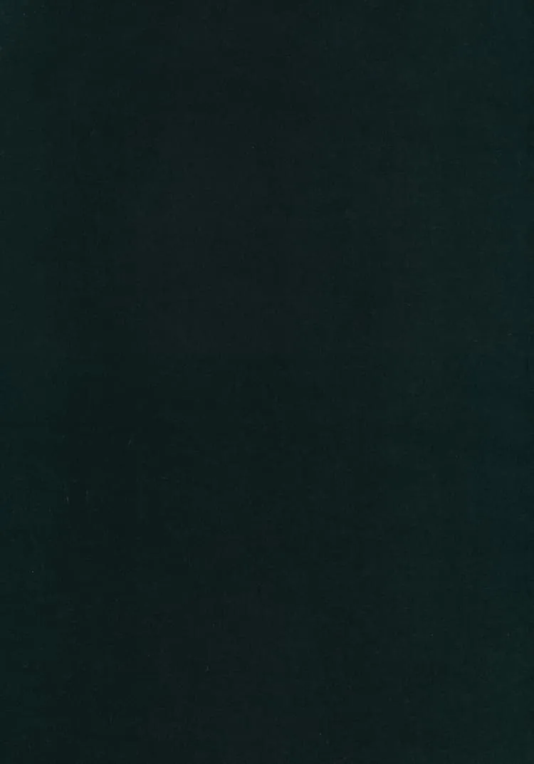 Ткань Kvadrat Harald 3 by Fanny Aronsen 8555_C0982