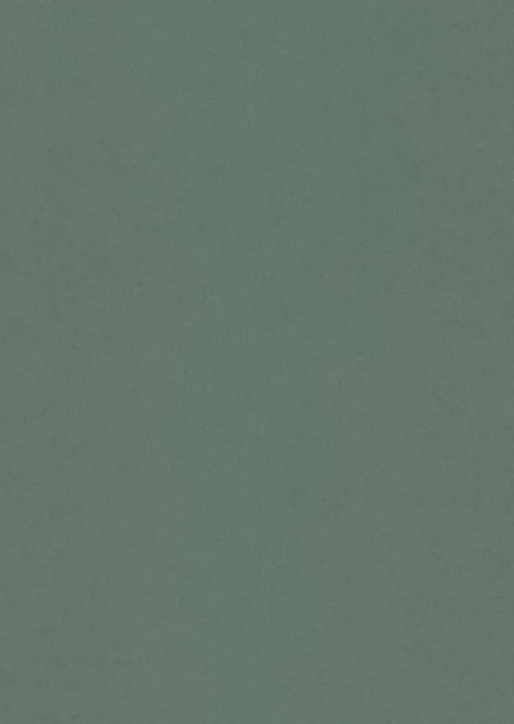 Ткань Kvadrat Hero 2 by Patricia Urquiola 8112_C0932