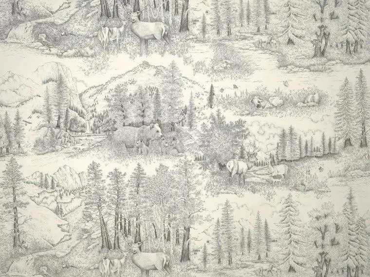 Обои для стен Pierre Frey Les Dessins 6 FP949001