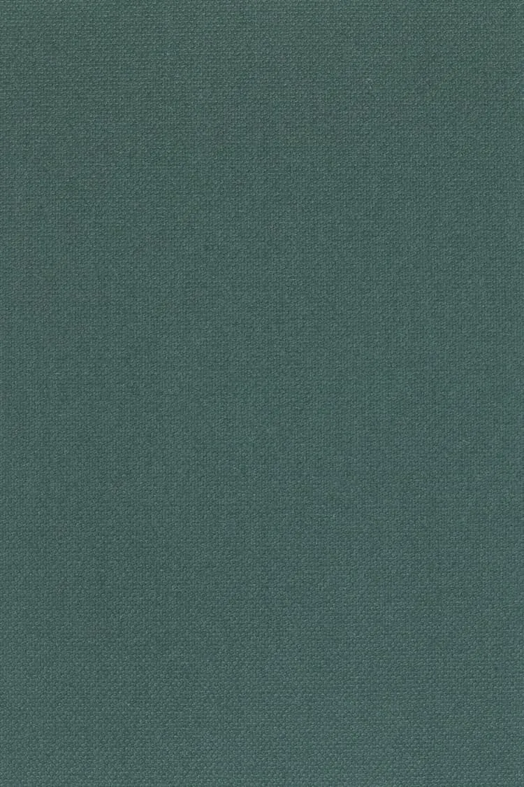 Ткань Kvadrat Steelcut 3 2223_C0180