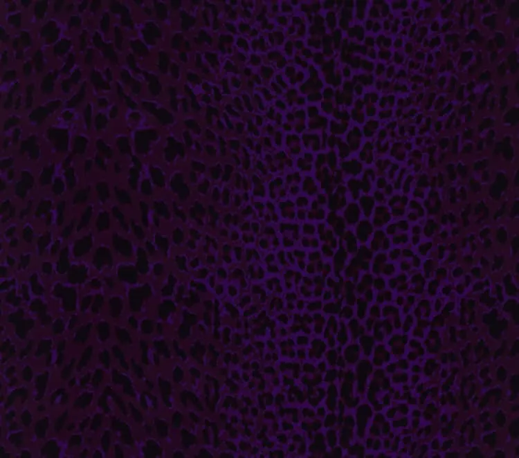 Ткань Sahco Satora 600778_C0682