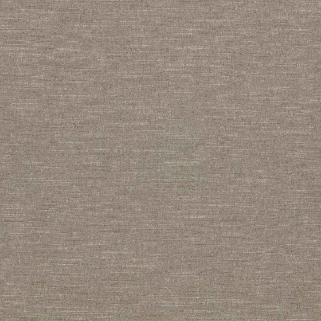 Ткань Clarke&Clarke Paradiso F1707-01