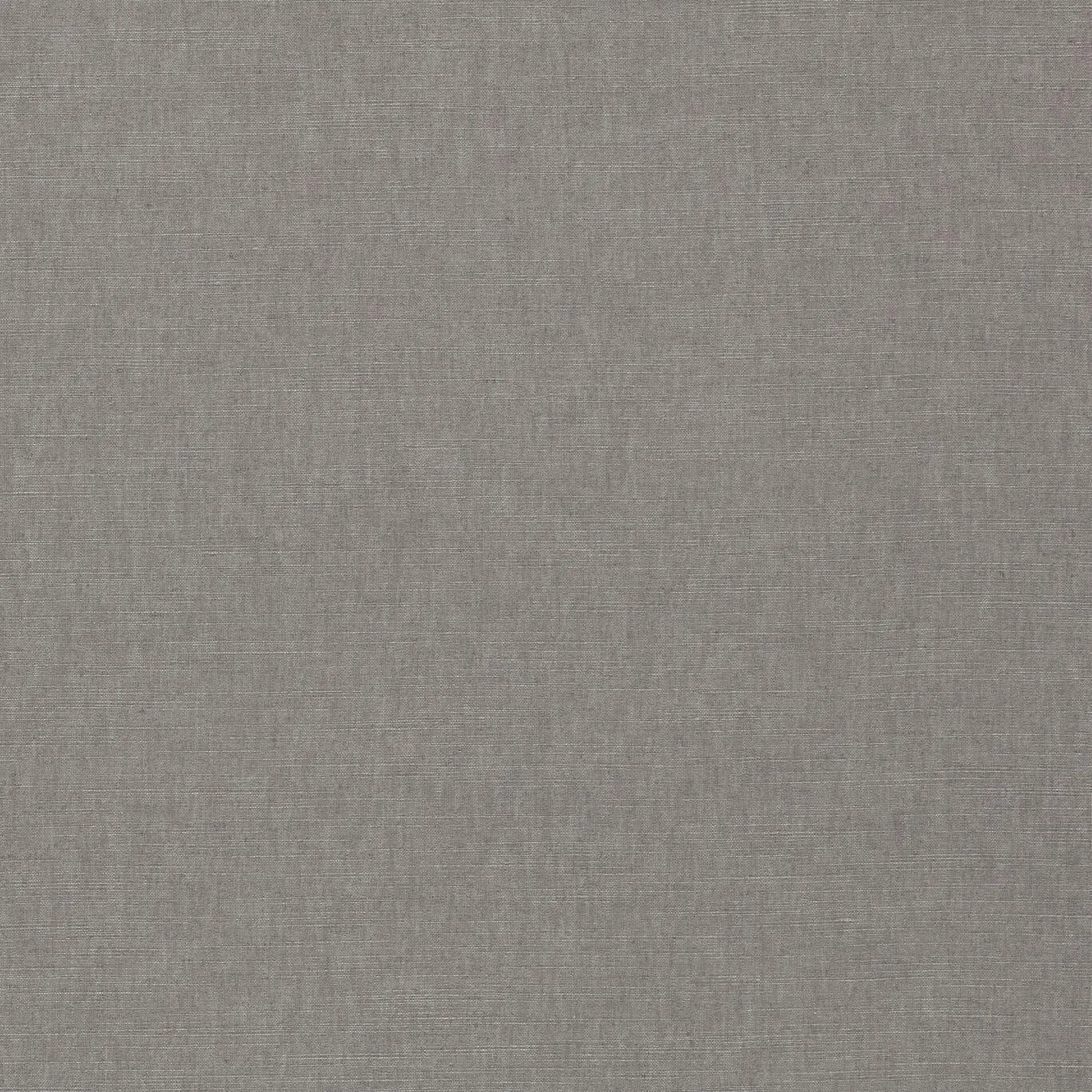 Ткань Clarke&Clarke Paradiso F1707-09