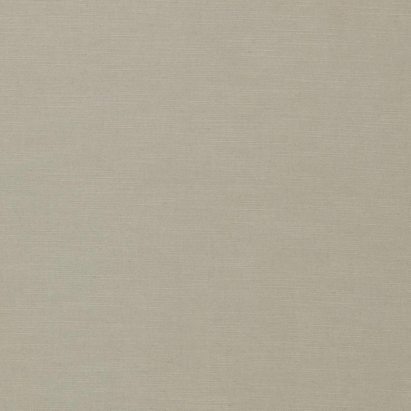 Ткань Clarke&Clarke Paradiso F1707-10