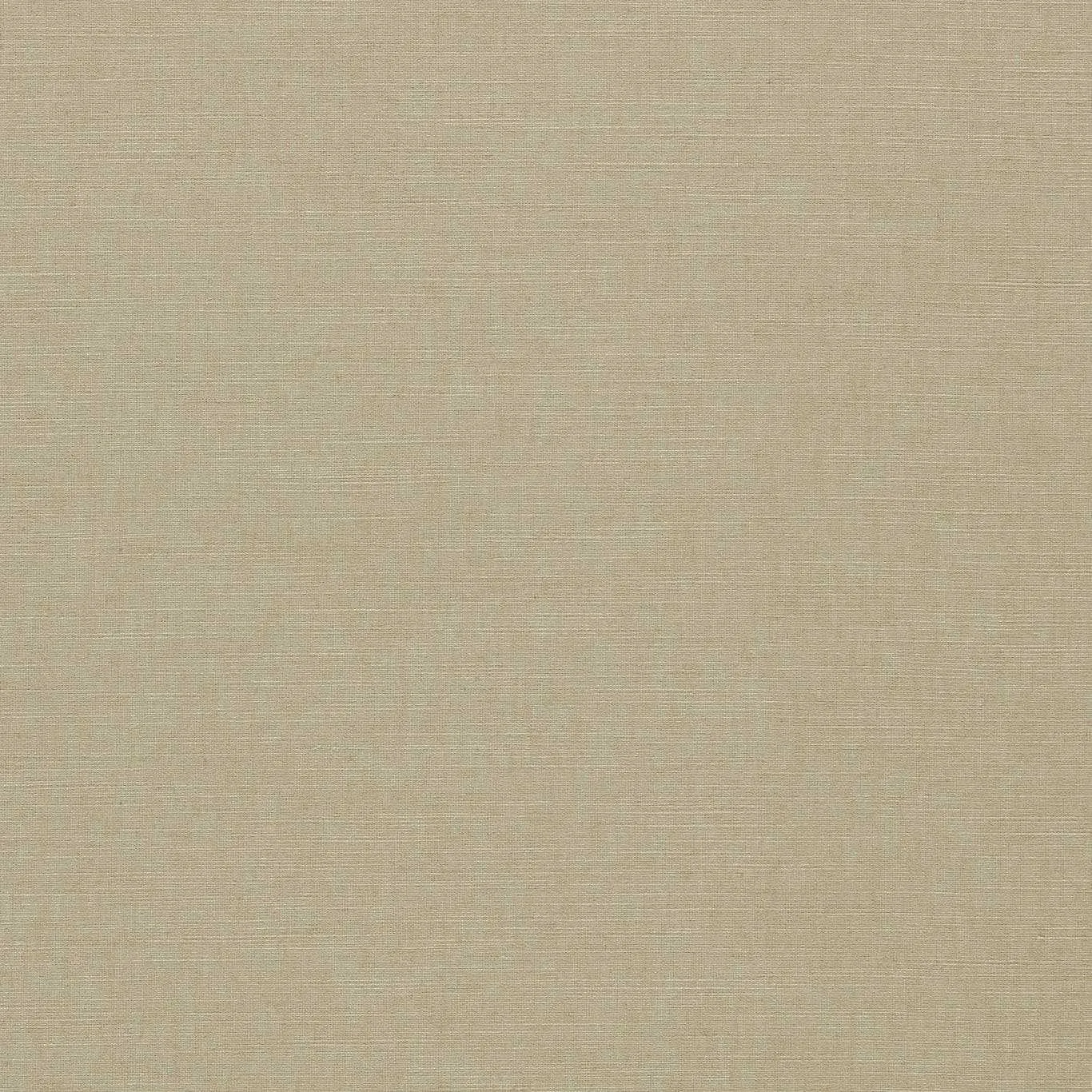 Ткань Clarke&Clarke Paradiso F1707-18