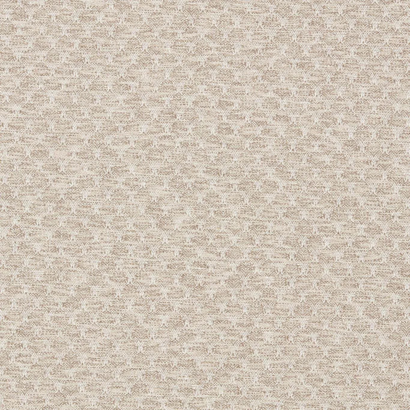 Ткань Clarke&Clarke Evora F1724-05