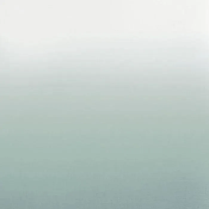 Ткань Camengo Totem Sheers 44960127