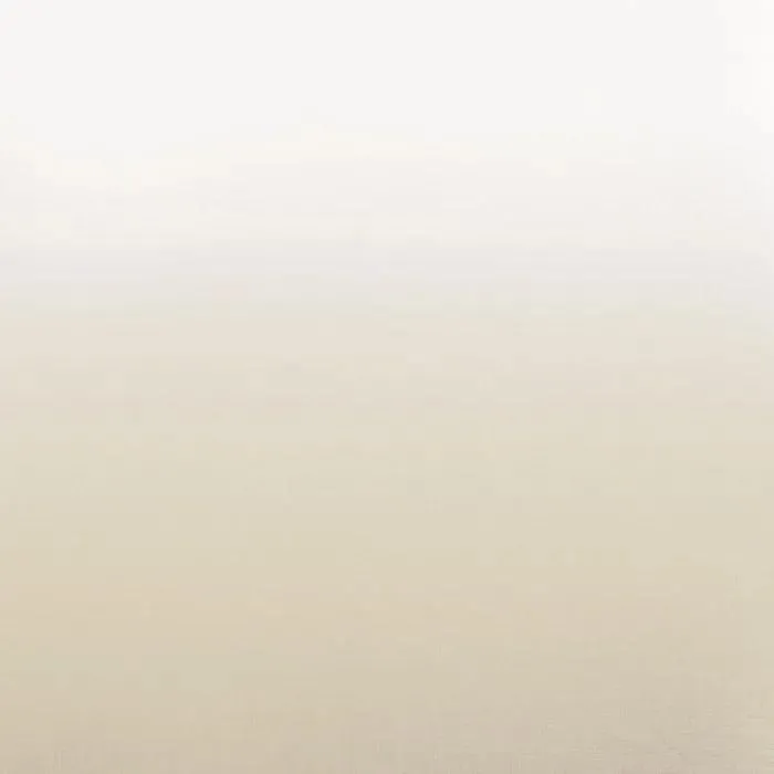 Ткань Camengo Totem Sheers 44960530