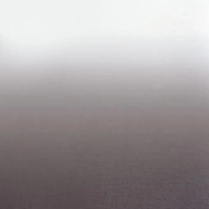 Ткань Camengo Totem Sheers 44960650