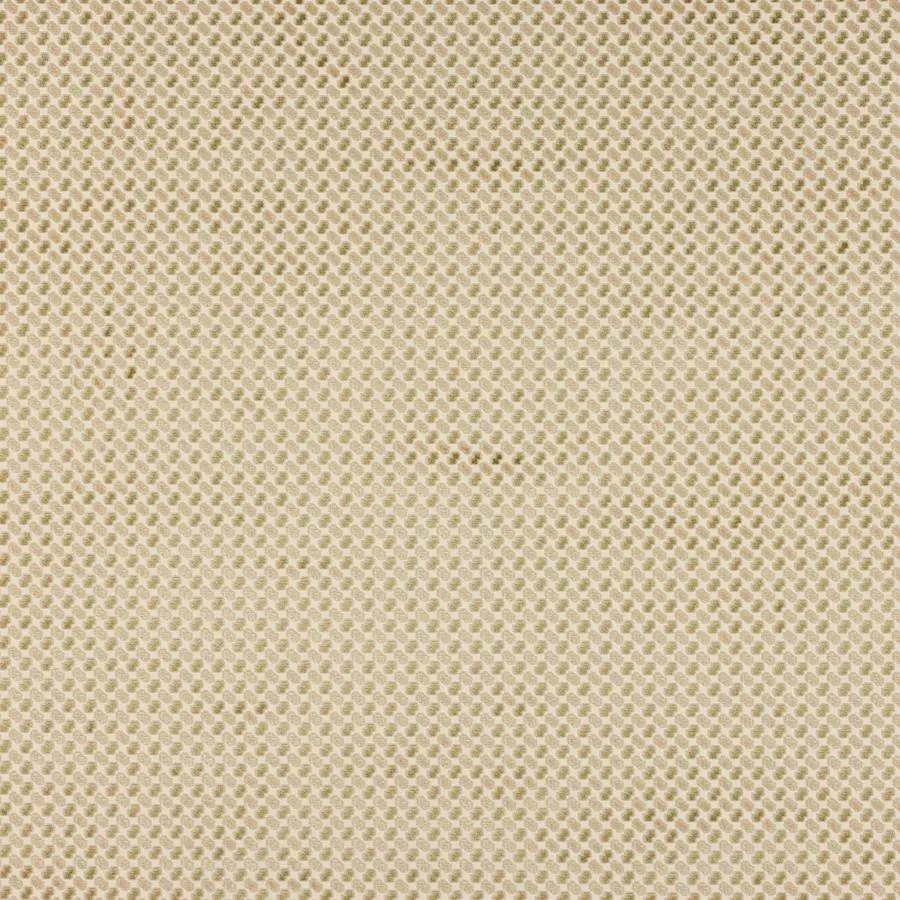 Ткань Manuel Canovas Java M4149-01