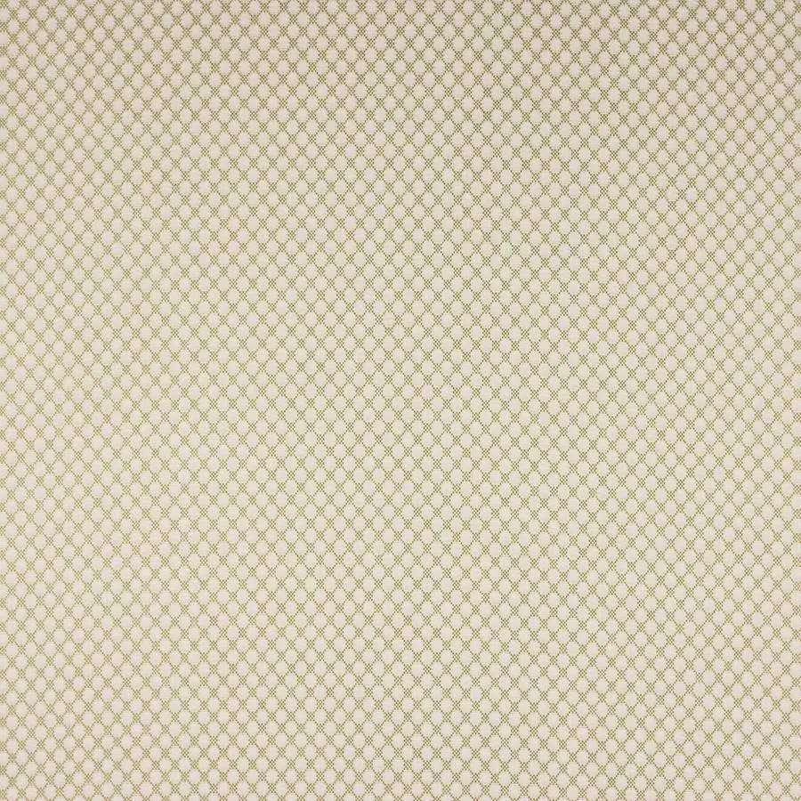 Ткань Colefax and Fowler Denbury F4874-04