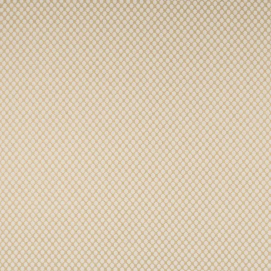 Ткань Colefax and Fowler Denbury F4874-06