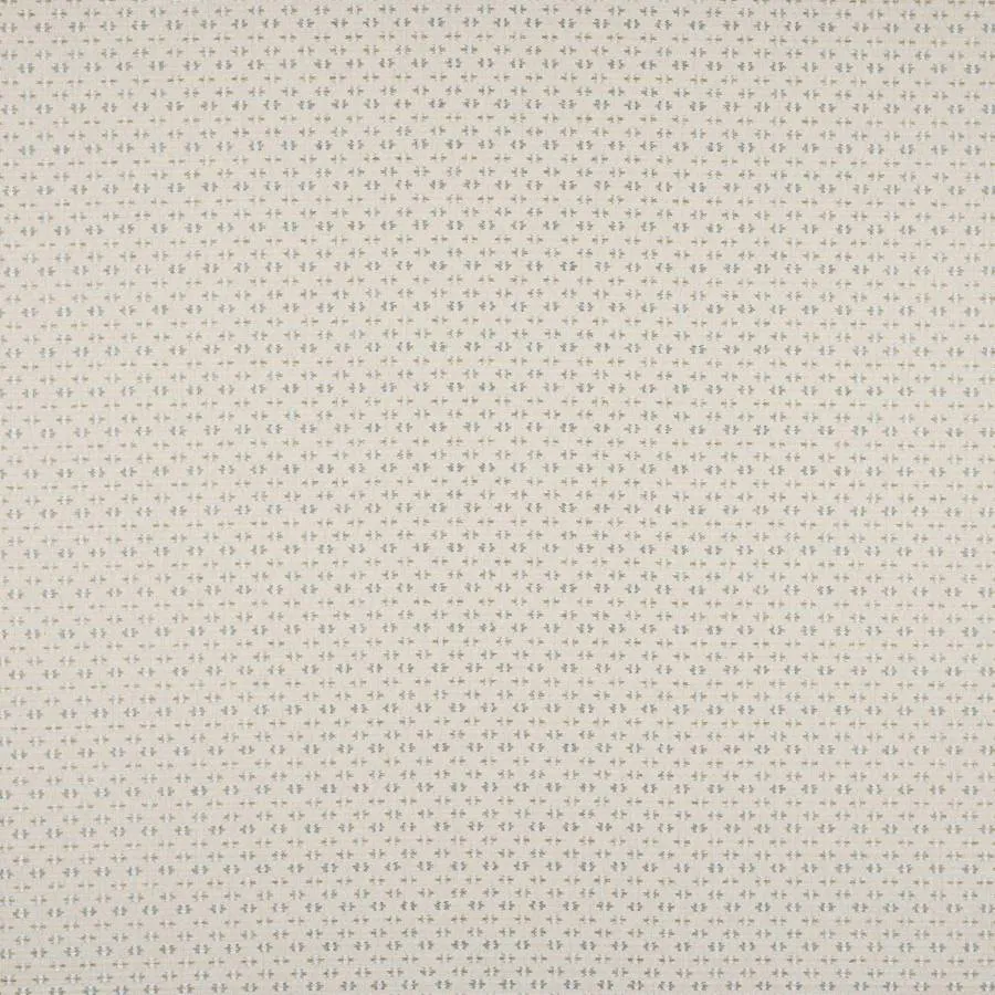 Ткань Colefax and Fowler Denbury F4875-09