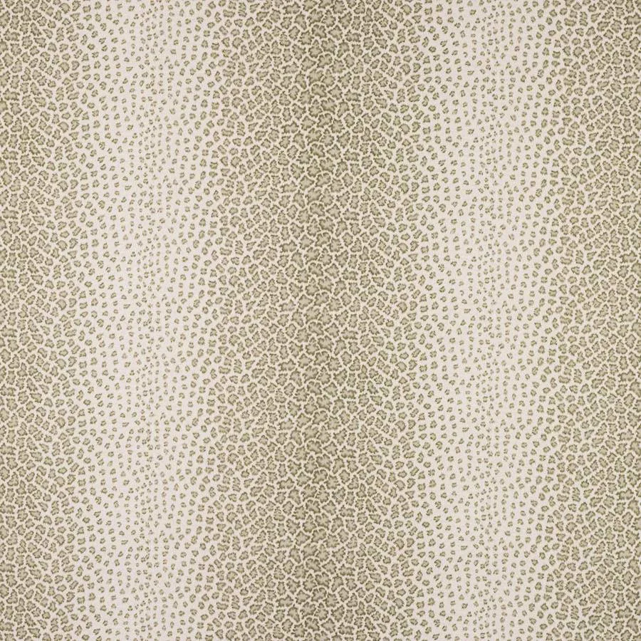 Ткань Colefax and Fowler Hailsham F4868-01