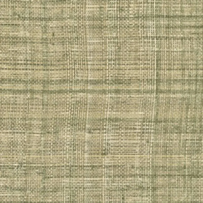 Обои для стен Elitis Matieres vegetales vp-983-61